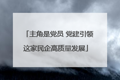 主角是党员 党建引领这家民企高质量发展