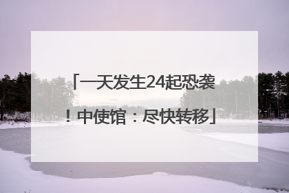一天发生24起恐袭！中使馆：尽快转移