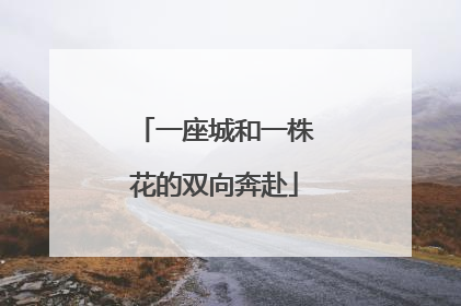 一座城和一株花的双向奔赴