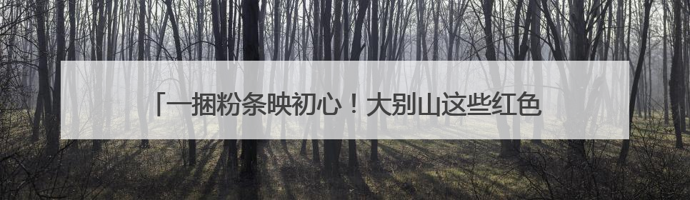 一捆粉条映初心！大别山这些红色故事里藏着纪律建设的 “密码”
