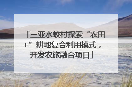 三亚水蛟村探索“农田+”耕地复合利用模式，开发农旅融合项目