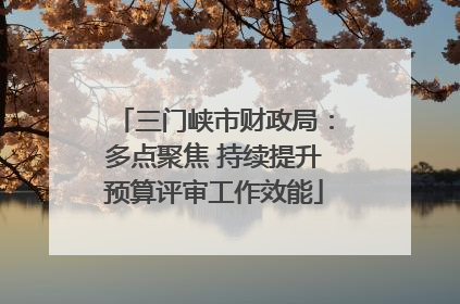三门峡市财政局：多点聚焦 持续提升预算评审工作效能