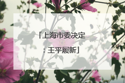 上海市委决定：王平履新