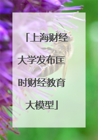 上海财经大学发布匡时财经教育大模型