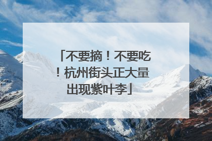 不要摘！不要吃！杭州街头正大量出现紫叶李