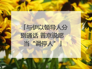 与伊以领导人分别通话 普京说愿当“调停人”