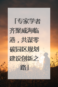 专家学者齐聚威海临港，共谋零碳园区规划建设创新之路