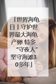 世界海龟日丨守护世界最大海龟产卵 特多“守夜人”坚守海滩30多年