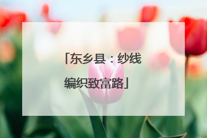 东乡县：纱线编织致富路