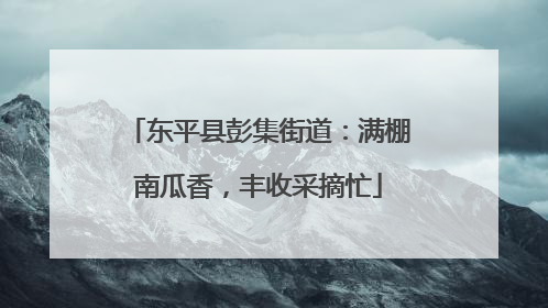 东平县彭集街道：满棚南瓜香，丰收采摘忙