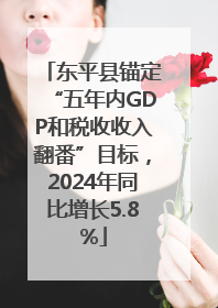 东平县锚定“五年内GDP和税收收入翻番”目标，2024年同比增长5.8%