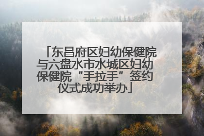 东昌府区妇幼保健院与六盘水市水城区妇幼保健院“手拉手”签约仪式成功举办