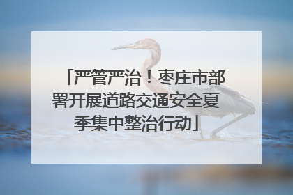 严管严治！枣庄市部署开展道路交通安全夏季集中整治行动