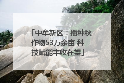 中牟新区：播种秋作物53万余亩 科技赋能丰收在望