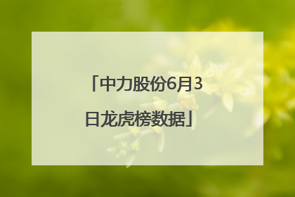 中力股份6月3日龙虎榜数据