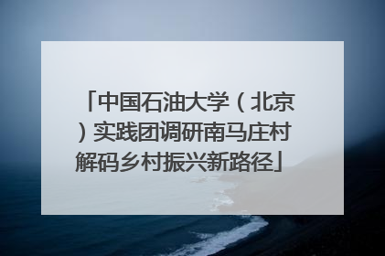 中国石油大学（北京）实践团调研南马庄村解码乡村振兴新路径