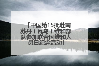 中国第15批赴南苏丹（瓦乌）维和部队参加联合国维和人员日纪念活动
