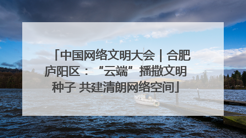 中国网络文明大会｜合肥庐阳区：“云端”播撒文明种子 共建清朗网络空间
