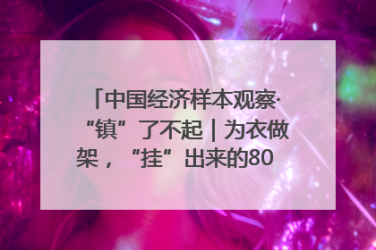 中国经济样本观察·“镇”了不起｜为衣做架，“挂”出来的80亿元“衣架产业”
