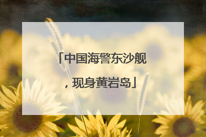 中国海警东沙舰，现身黄岩岛