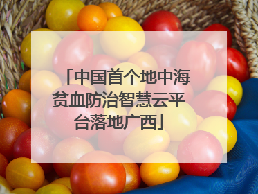 中国首个地中海贫血防治智慧云平台落地广西