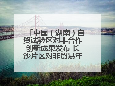 中国（湖南）自贸试验区对非合作创新成果发布 长沙片区对非贸易年均增长141%