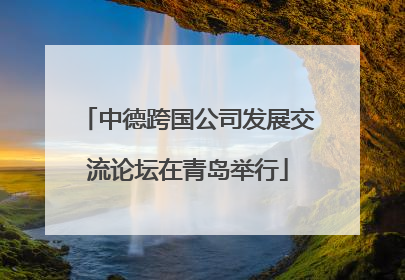 中德跨国公司发展交流论坛在青岛举行