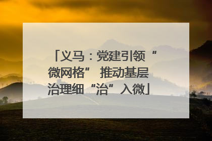 义马：党建引领“微网格” 推动基层治理细“治”入微