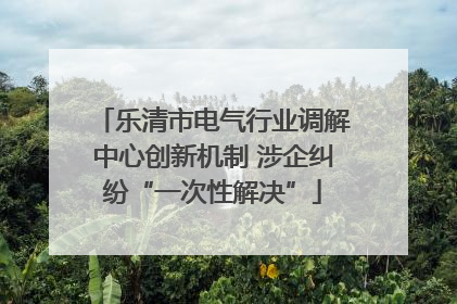乐清市电气行业调解中心创新机制 涉企纠纷“一次性解决”