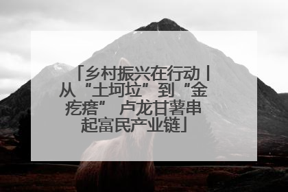乡村振兴在行动丨从“土坷垃”到“金疙瘩” 卢龙甘薯串起富民产业链