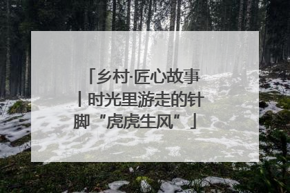 乡村·匠心故事丨时光里游走的针脚“虎虎生风”