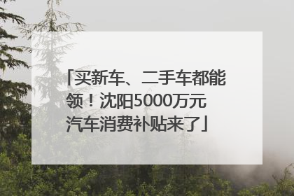 买新车、二手车都能领！沈阳5000万元汽车消费补贴来了
