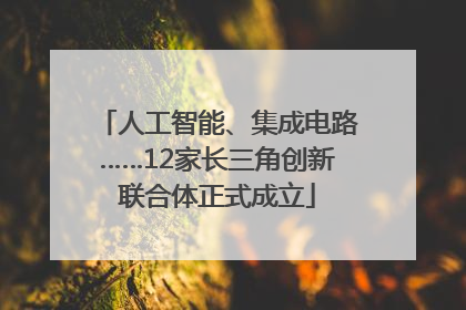 人工智能、集成电路……12家长三角创新联合体正式成立