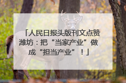 人民日报头版刊文点赞潍坊：把“当家产业”做成“担当产业”！