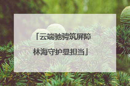 云端驰骋筑屏障 林海守护显担当