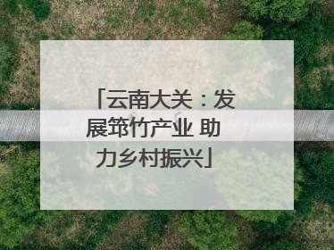 云南大关：发展筇竹产业 助力乡村振兴