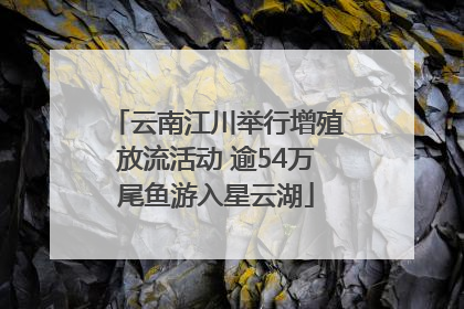 云南江川举行增殖放流活动 逾54万尾鱼游入星云湖