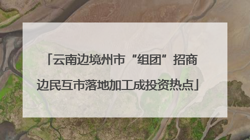 云南边境州市“组团”招商 边民互市落地加工成投资热点