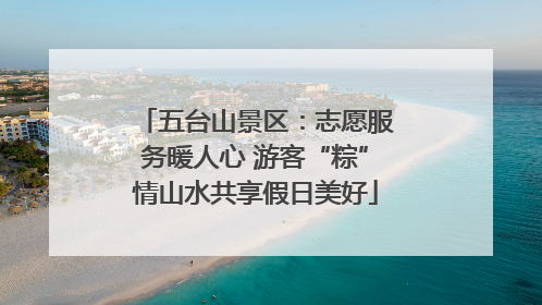 五台山景区：志愿服务暖人心 游客“粽”情山水共享假日美好