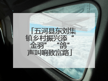 五河县东刘集镇乡村振兴添“金羽” “鸽”声叫响致富路