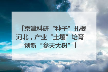 京津科研“种子”扎根河北，产业“土壤”培育创新“参天大树”