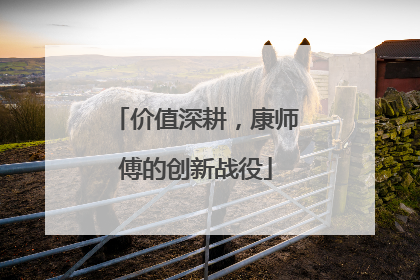 价值深耕，康师傅的创新战役