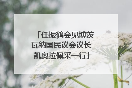 任振鹤会见博茨瓦纳国民议会议长凯奥拉佩采一行