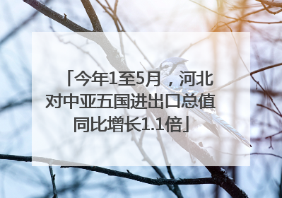 今年1至5月，河北对中亚五国进出口总值同比增长1.1倍