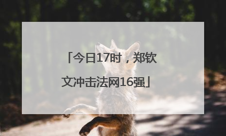 今日17时，郑钦文冲击法网16强