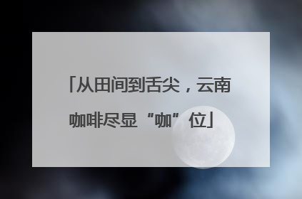 从田间到舌尖，云南咖啡尽显“咖”位