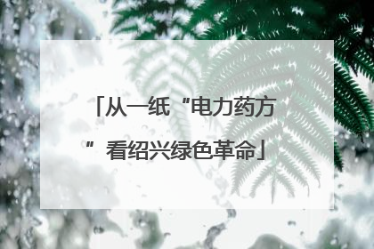 从一纸“电力药方”看绍兴绿色革命