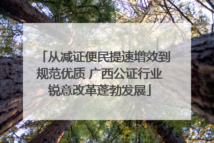 从减证便民提速增效到规范优质 广西公证行业锐意改革蓬勃发展