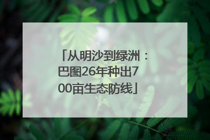 从明沙到绿洲：巴图26年种出700亩生态防线