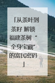从茶叶到茶籽 解锁福建茶树“全身宝藏”的富民密码